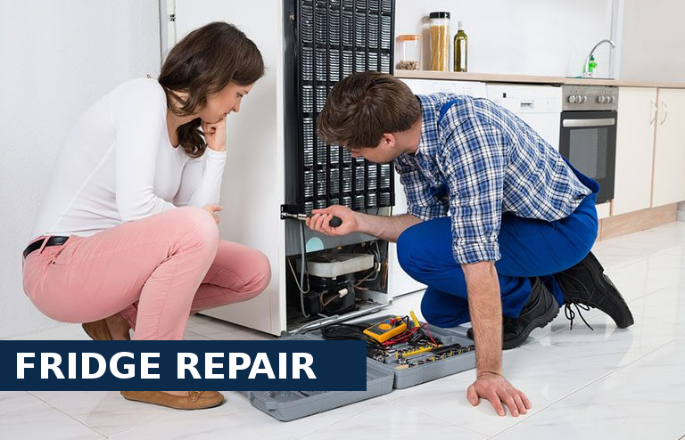Fridge Repair Walworth